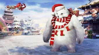 踏雪寻熊,一场与自然奇遇的探险之旅