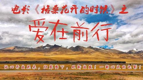 格桑花之爱在前行,在前行中绽放的温暖力量