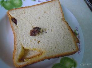 三明治兄弟 第二季,美食冒险再启航