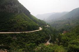 山道弯弯,探寻自然奇观之旅